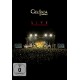 DVD „Live at Montelago“ Format (PAL  only, NTSC NOT available)!)